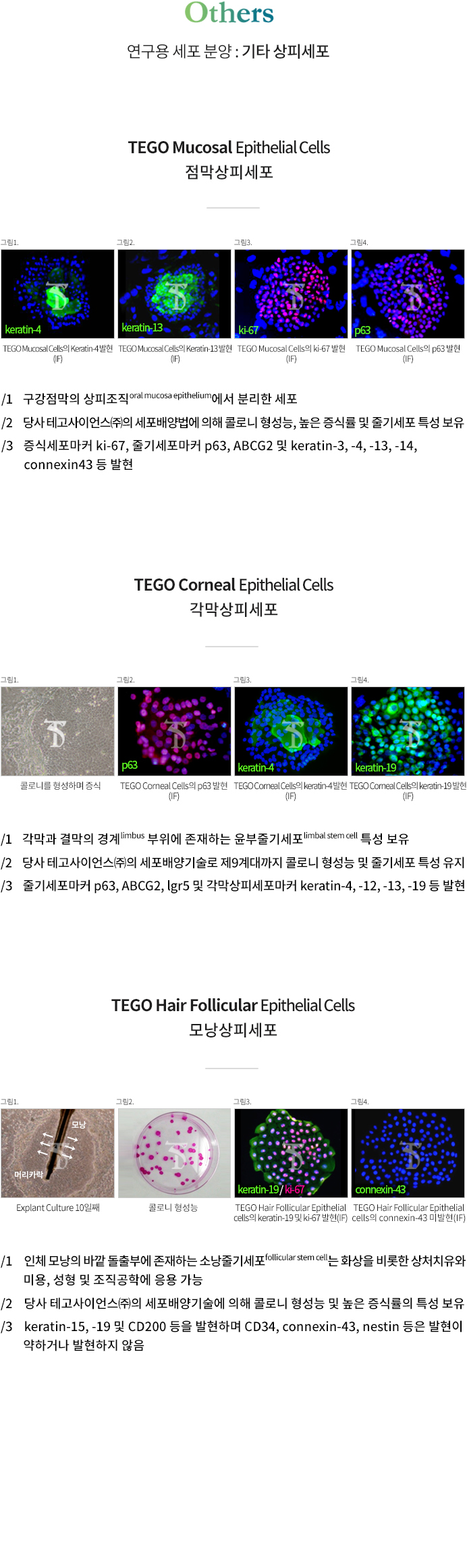 Fibroblasts